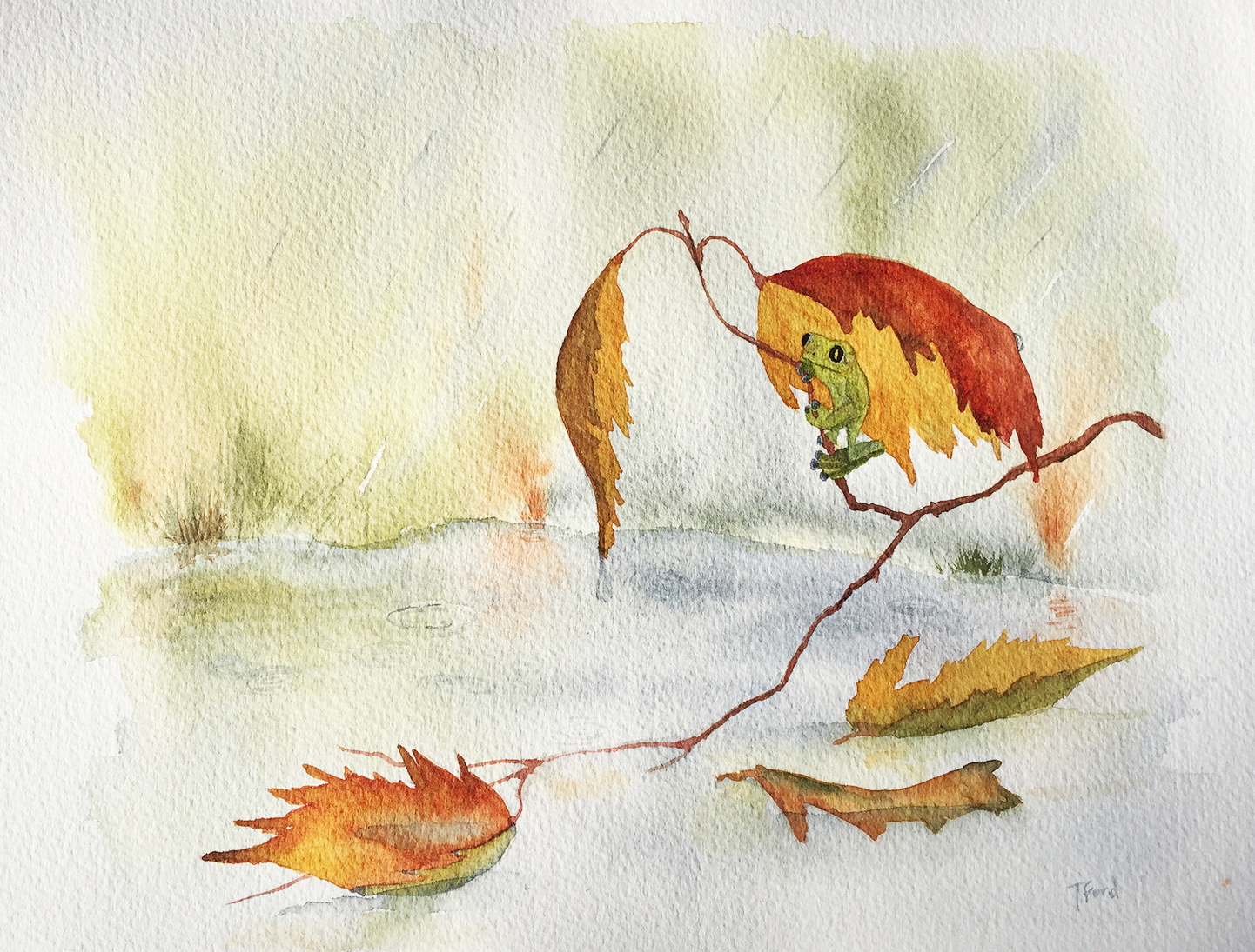 frog in rain watercolor